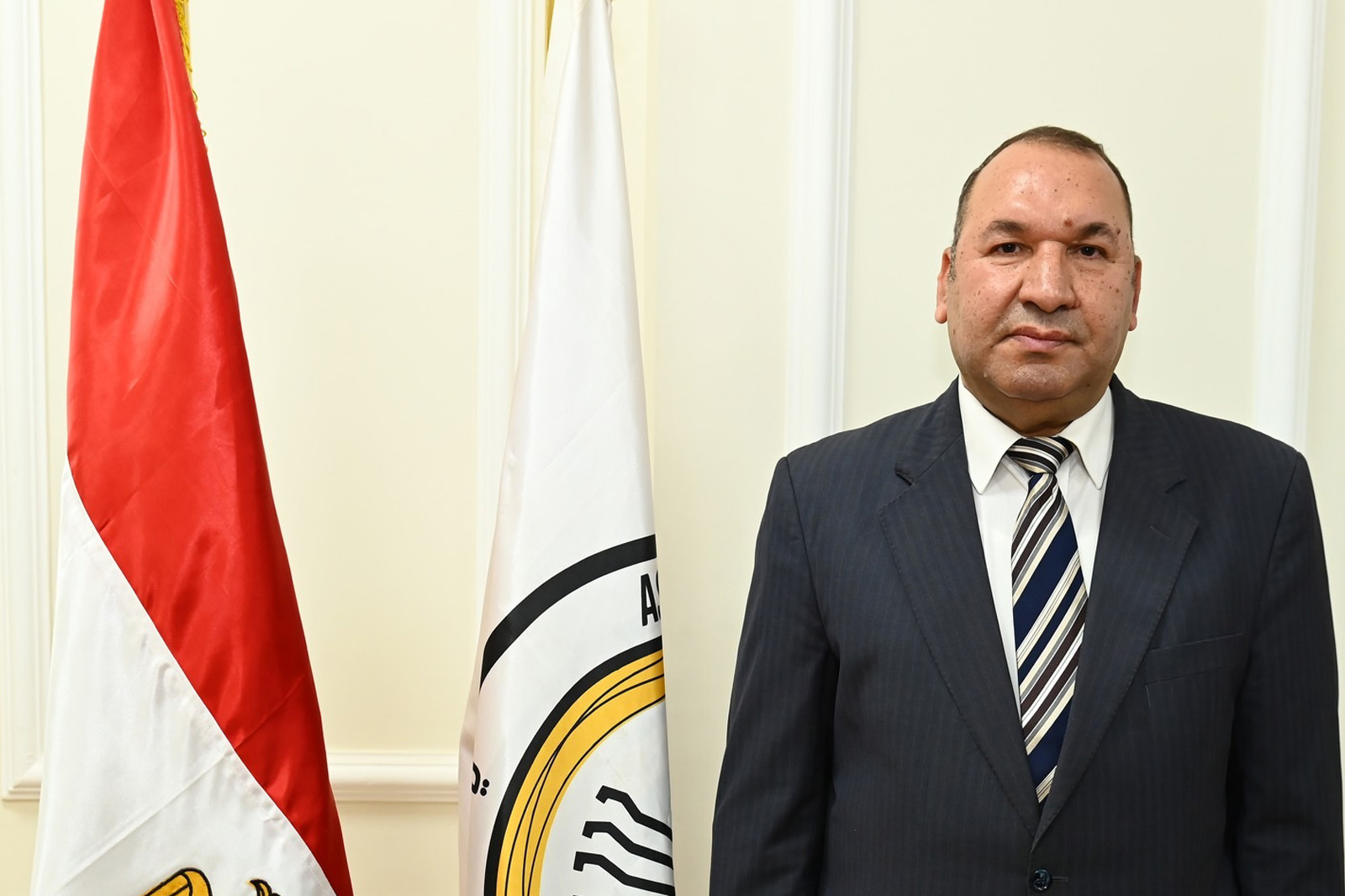 الاستاذ الدكتور/ محمد سيد محمد ابراهيم